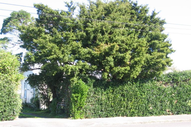 Photo of property in 36 Fox Street, Featherston, 5710