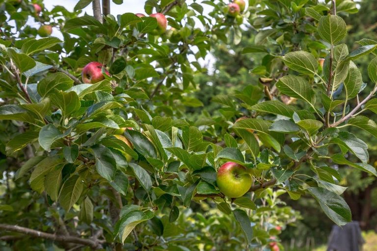 Photo of property in 2430 State Highway 2, Greytown, 5794