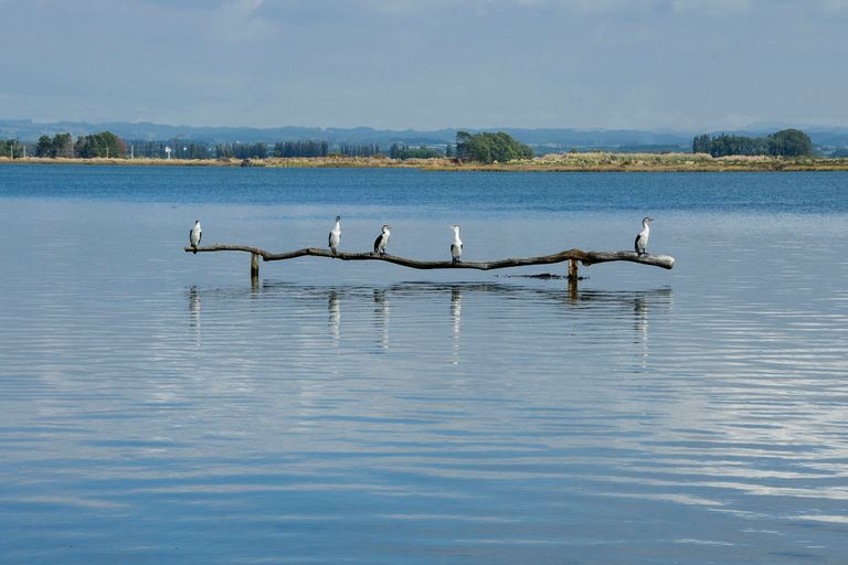 Photo of property in 519 Pukehina Parade, Pukehina, Te Puke, 3189