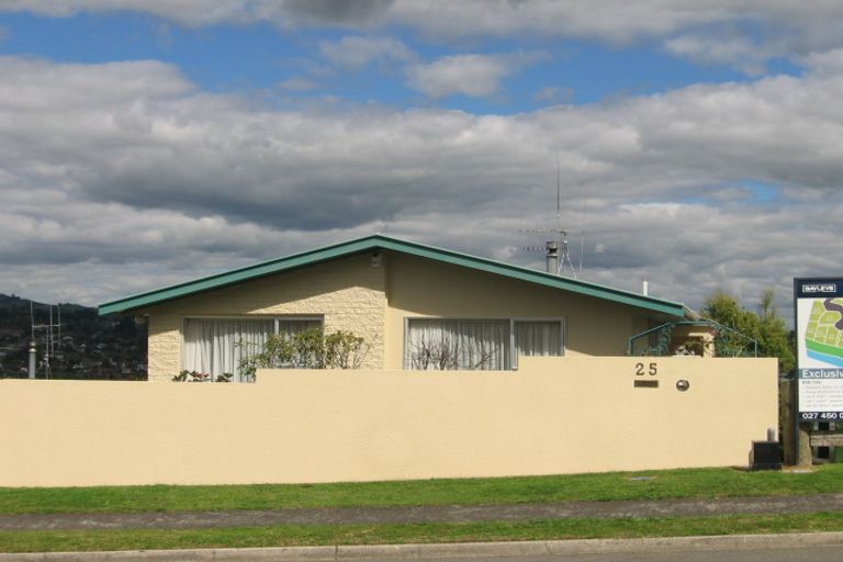 Photo of property in 25 Te Wati Street, Maungatapu, Tauranga, 3112