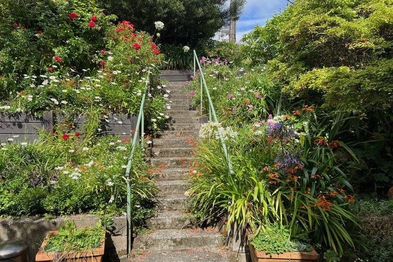 Photo of property in 135 Kelburn Parade, Kelburn, Wellington, 6012