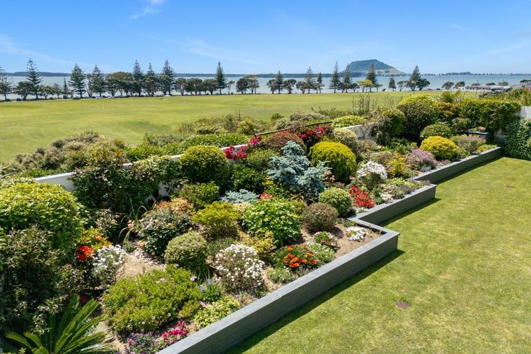 Photo of property in 131 Waratah Street, Matua, Tauranga, 3110