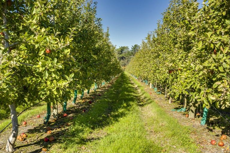 Photo of property in 83 Mount Erin Road, Pukahu, Hastings, 4172