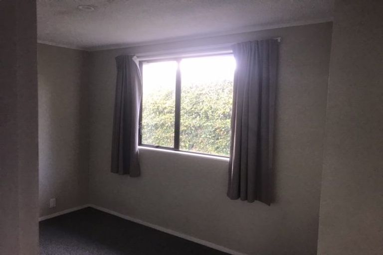 Photo of property in 74b Campbell Road, Mount Maunganui, 3116