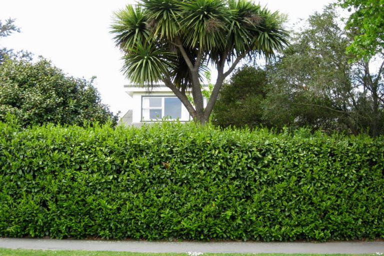 Photo of property in 8 Ayers Street, Rangiora, 7400