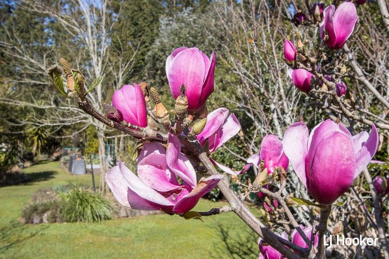 Photo of property in 30a Lawrence Road, Waihi, 3610