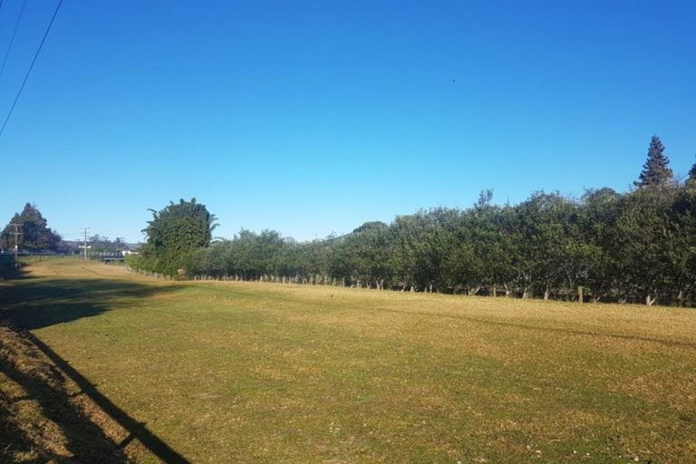 Photo of property in 249 Plummers Point Road, Whakamarama, Tauranga, 3172