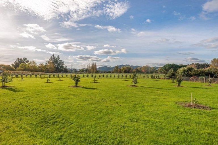 Photo of property in 168 Hansen Road, Makauri, Gisborne, 4071