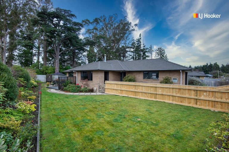 Photo of property in 12 Saint James Place, Fairfield, Dunedin, 9018