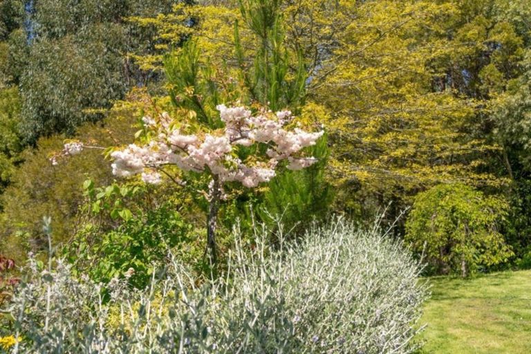 Photo of property in 24 Nikau Heights, Lansdowne, Masterton, 5810