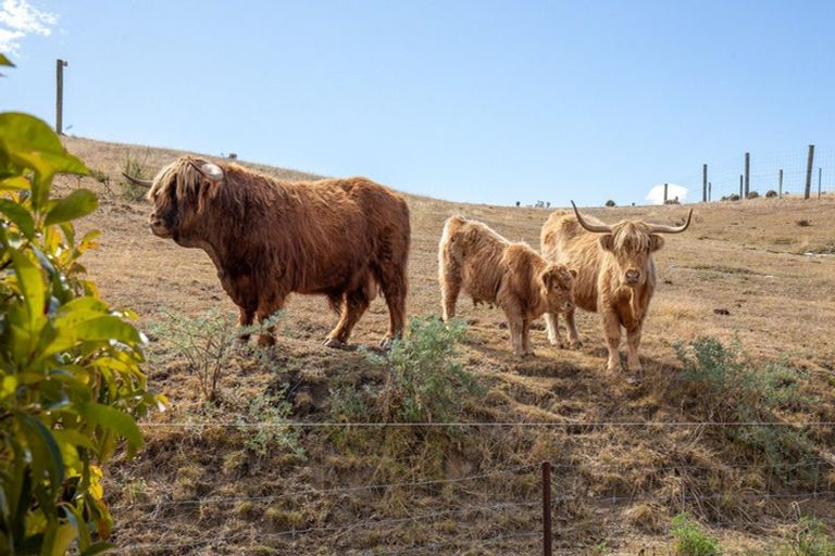 Photo of property in 267 Springvale Road, Springvale, Alexandra, 9391