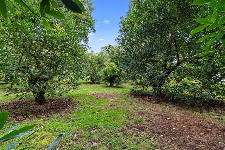 Photo of property in 496 Waitao Road, Waitao, Tauranga, 3175