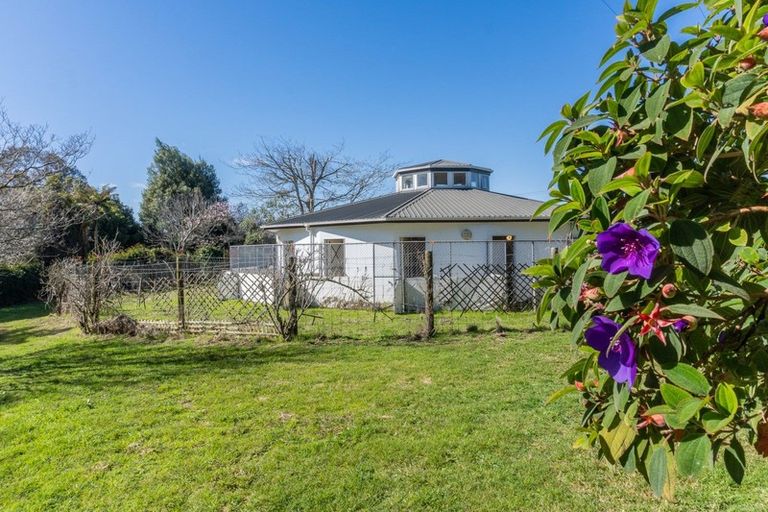 Photo of property in 359 Omanawa Road, Omanawa, Tauranga, 3171