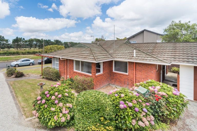 Photo of property in 45 Dittmer Drive, Awapuni, Palmerston North, 4412