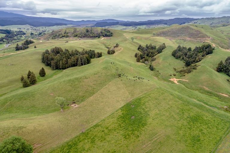 Photo of property in 404 Waitetuna Valley Road, Waitetuna, Raglan, 3295