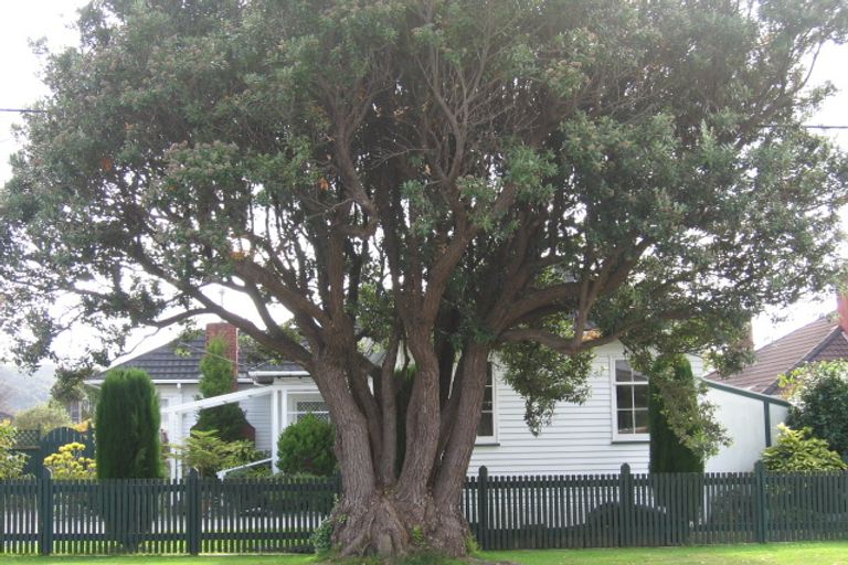 Photo of property in 49 Lincoln Avenue, Epuni, Lower Hutt, 5011