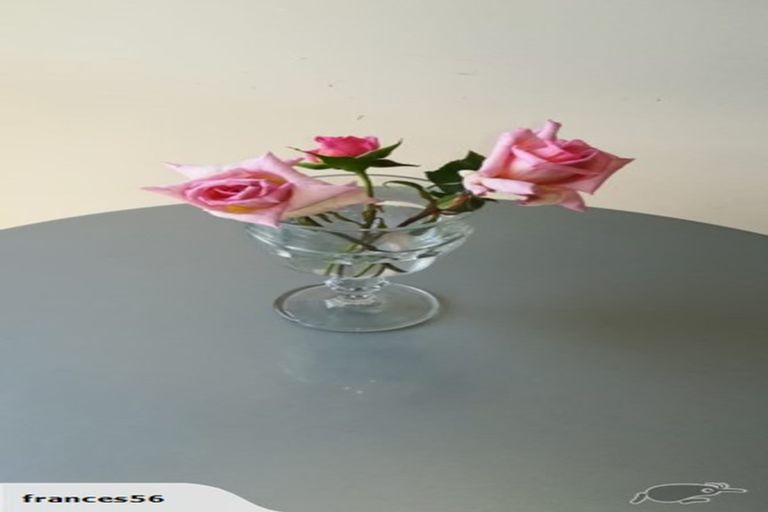 Photo of property in 1/868 Colombo Street, Christchurch Central, Christchurch, 8013