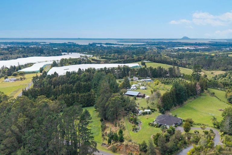 Photo of property in 331 Rea Road, Tahawai, Katikati, 3178