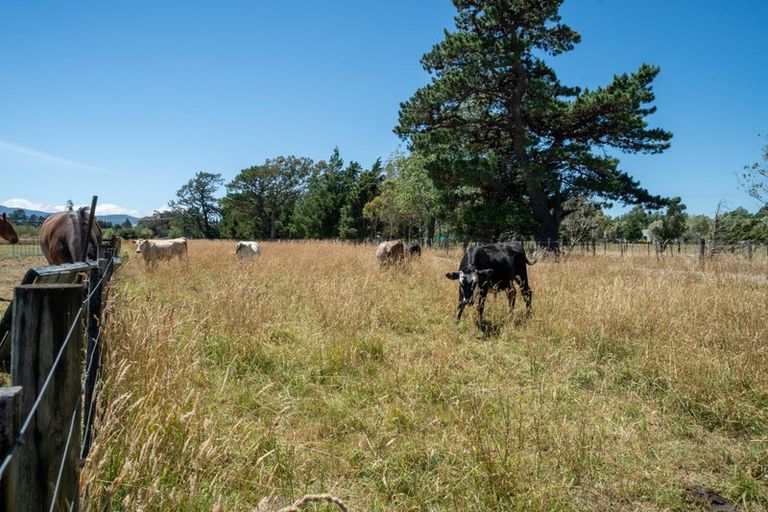 Photo of property in 69 Longwood Road, South Featherston, Featherston, 5771