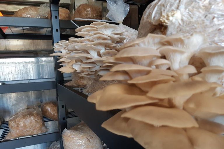 Photo of property in 405 Nightcaps-ohai Highway, Ohai, Otautau, 9689