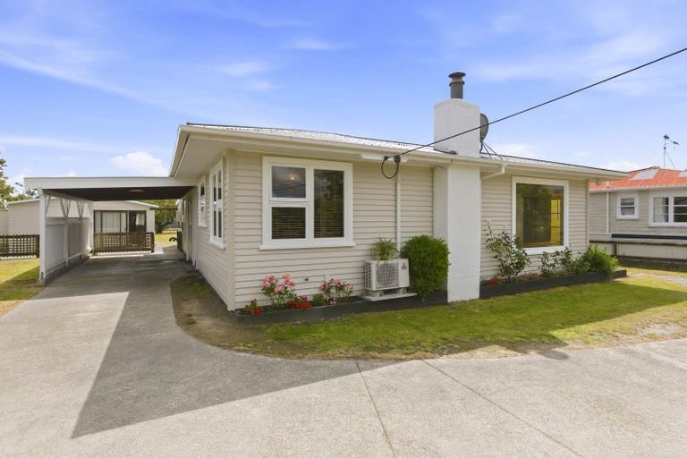 Photo of property in 21 Lemon Street, Otaki, 5512