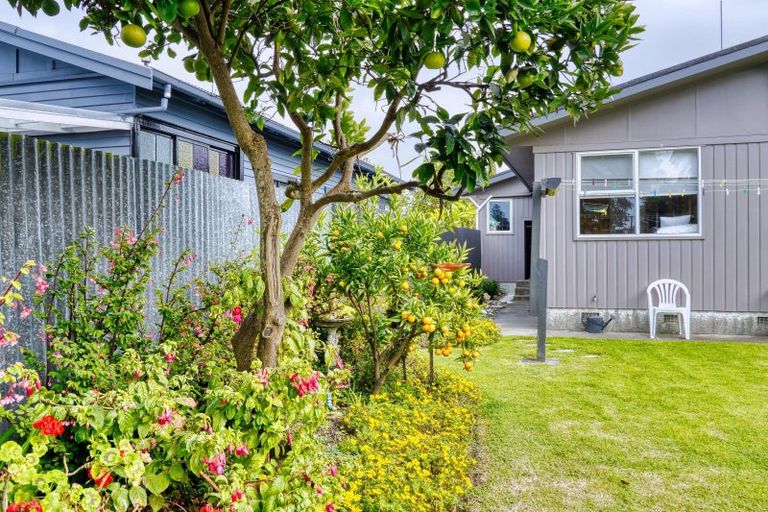 Photo of property in 105a Nelson Crescent, Napier South, Napier, 4110