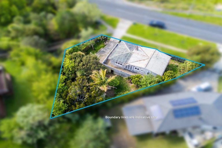 Photo of property in 101 Seabrook Avenue, New Lynn, Auckland, 0600