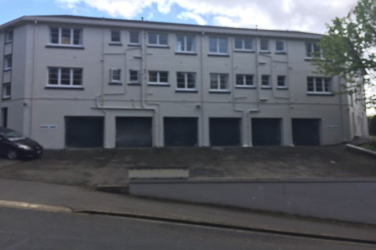 Photo of property in 4 Alva Street, Dunedin Central, Dunedin, 9016