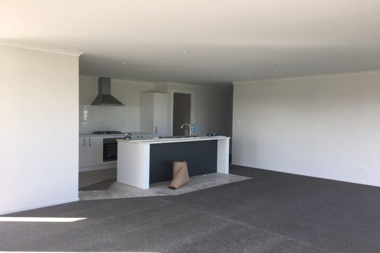 Photo of property in 217 Borman Road, Rototuna North, Hamilton, 3210