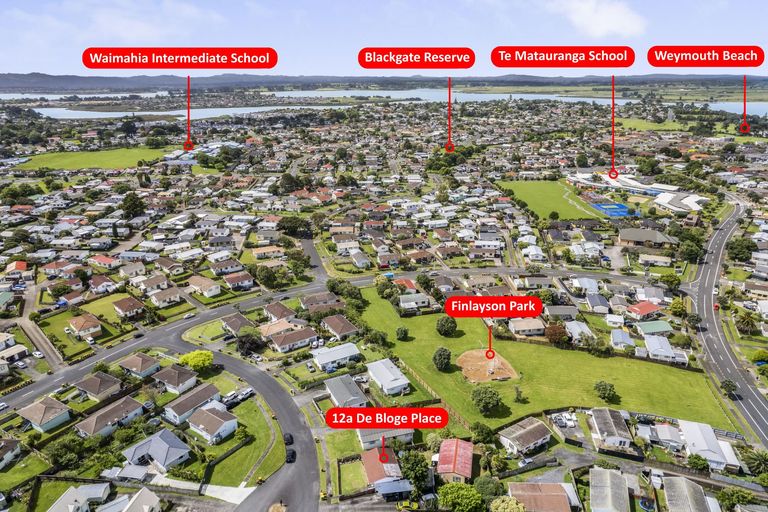 Photo of property in 1/12 De Bloge Place, Clendon Park, Auckland, 2103