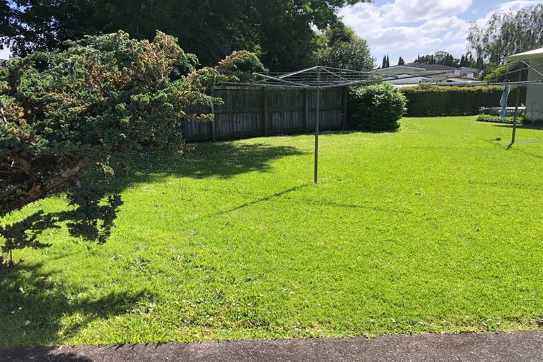 Photo of property in 52 Buscomb Avenue, Henderson, Auckland, 0610