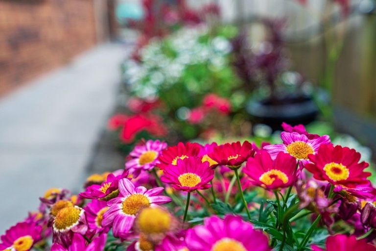 Photo of property in 41a Tuatara Drive, Te Kamo, Whangarei, 0112