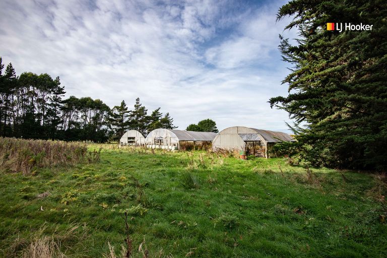 Photo of property in 110 Taieri Mouth Road, Kuri Bush, Brighton, 9091