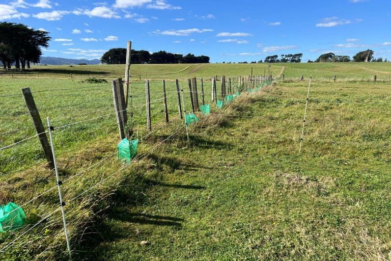 Photo of property in 141 Valley Road, Woodville, 4998