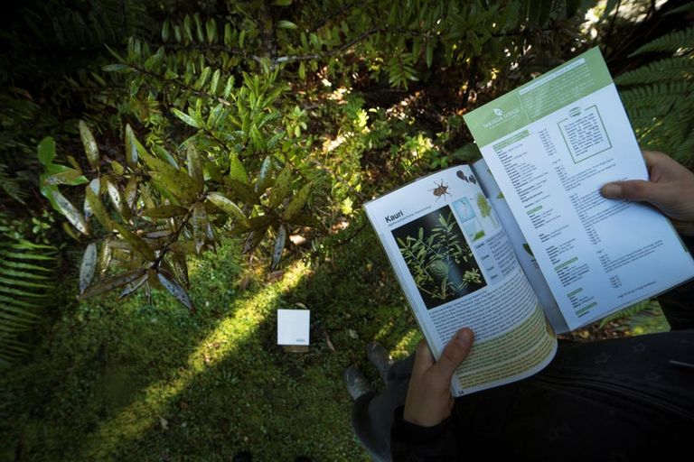 Photo of property in 251 Old Coach Road, Kaimarama, Whitianga, 3591