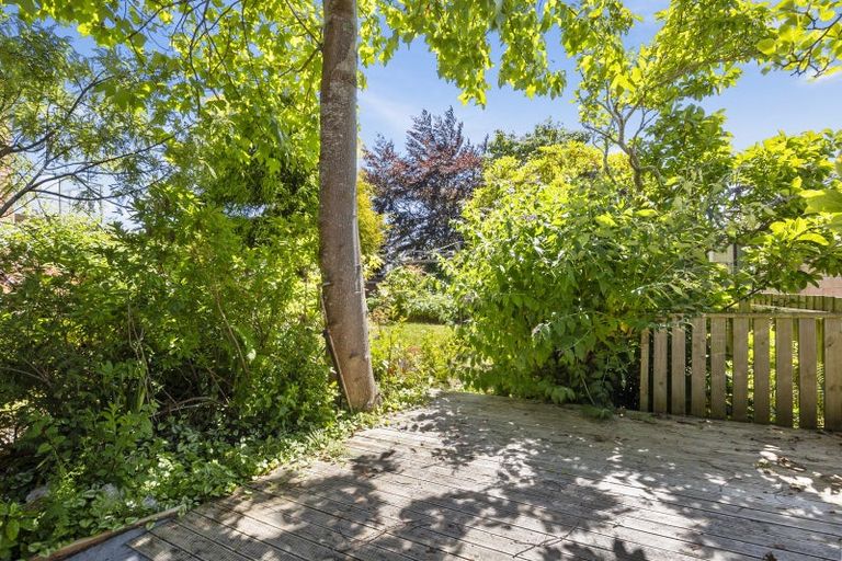 Photo of property in 709 Highgate, Maori Hill, Dunedin, 9010