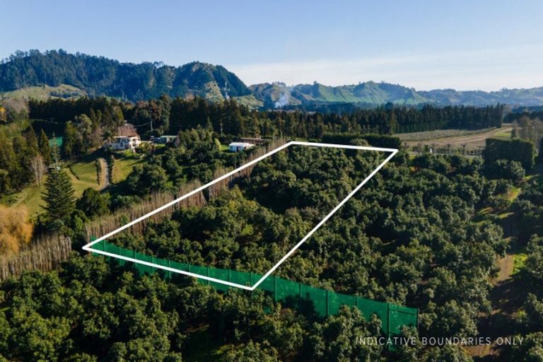 Photo of property in 229 Athenree Road, Athenree, Waihi Beach, 3177