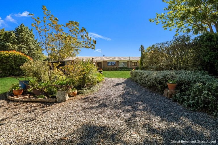 Photo of property in 42 Mina Road, Cheviot, 7382