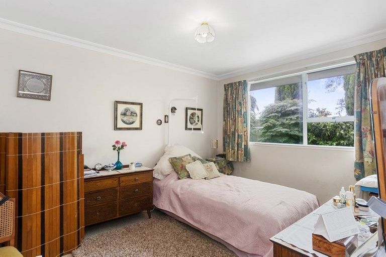 Photo of property in 2a Brookfield Terrace, Brookfield, Tauranga, 3110