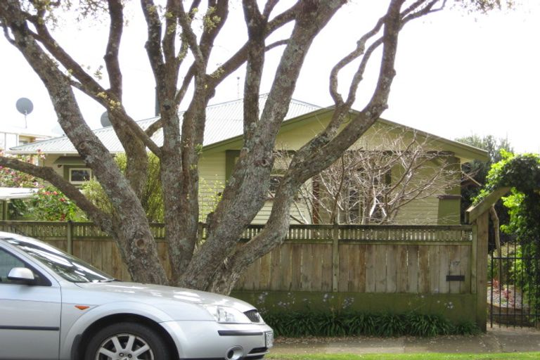 Photo of property in 117 Pendarves Street, New Plymouth, 4312
