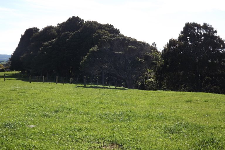 Photo of property in 669b Te Hutewai Road, Raglan, 3296