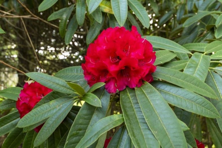 Photo of property in 86 Mountain Road, Oropi, Tauranga, 3173