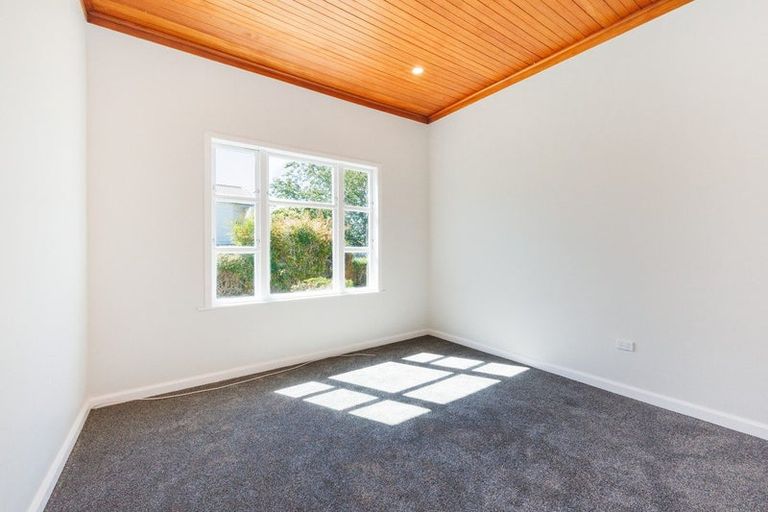 Photo of property in 45 Limbrick Street, Terrace End, Palmerston North, 4410