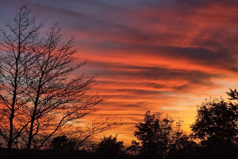 Photo of property in 177b Old Kaimai Road, Lower Kaimai, Tauranga, 3171