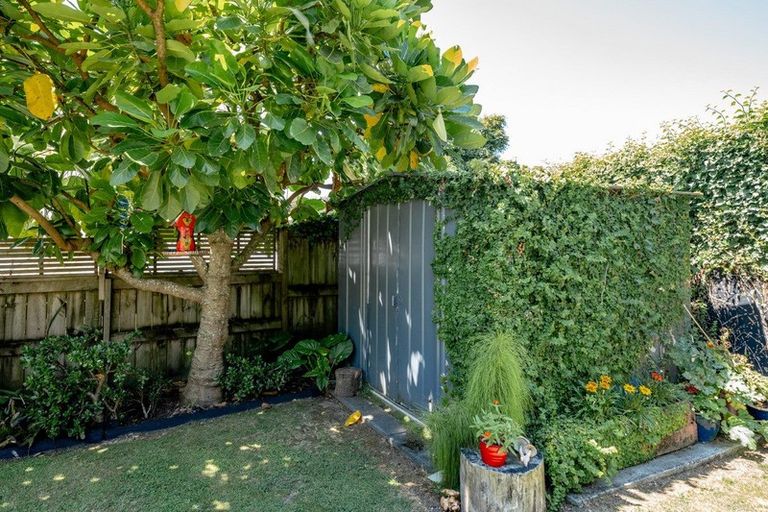 Photo of property in 17a Bellfield Place, Bethlehem, Tauranga, 3110