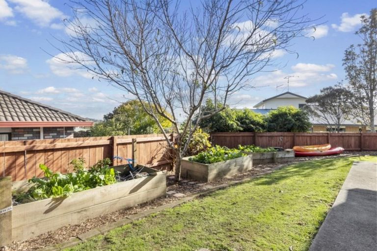 Photo of property in 16 Prospect Place, Western Heights, Hamilton, 3200