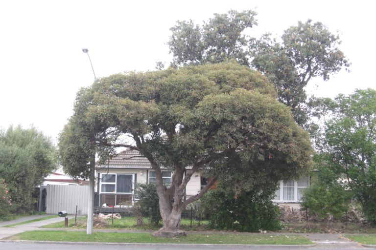 Photo of property in 45 Williams Street, Marewa, Napier, 4110