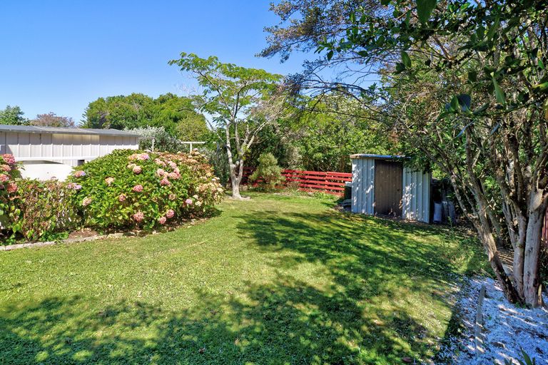 Photo of property in 29 Puriri Crescent, Lansdowne, Masterton, 5810