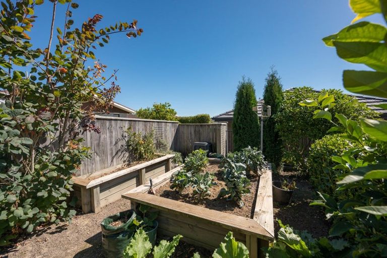 Photo of property in 44 Concordia Drive, Richmond, 7020