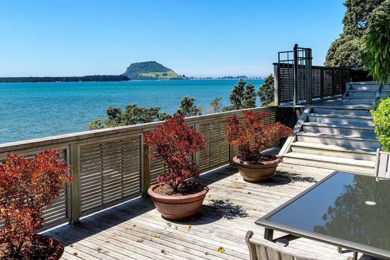 Photo of property in 41 Woods Avenue, Matua, Tauranga, 3110